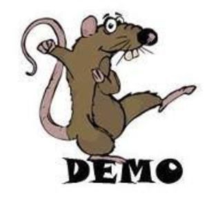 Meet your Posher, Leticia